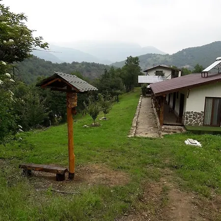 Vila Diva * Mikhalkovo
